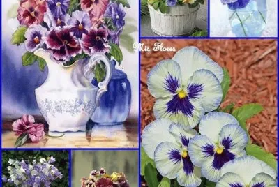 פאזל של flor