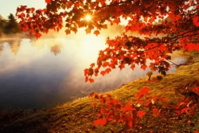 autunno jigsaw puzzle