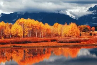 autunno jigsaw puzzle