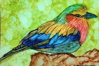 Robyn Bird