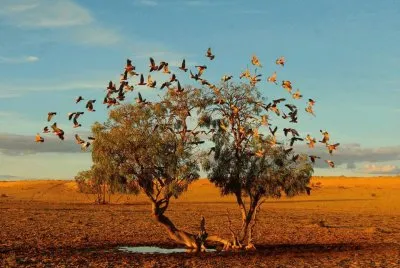 imagens jigsaw puzzle