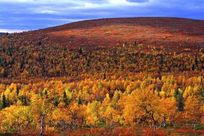 imagens jigsaw puzzle