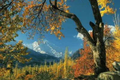 imagens jigsaw puzzle