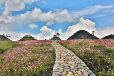 NATUREZA jigsaw puzzle