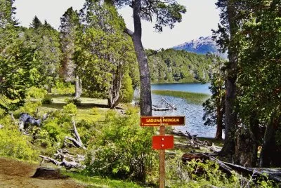 Laguna Patagua. NeuquÃ©n. Argentina jigsaw puzzle