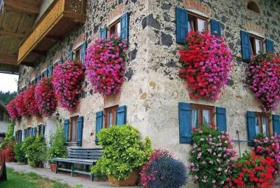 casa florida