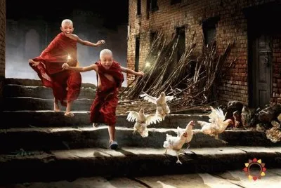 imagens