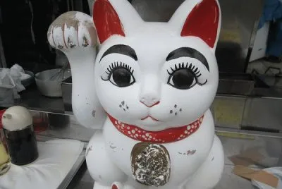 Inviting Kitty