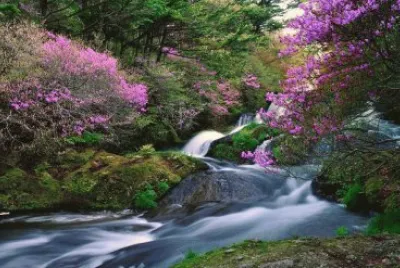 Serenity in Japan jigsaw puzzle