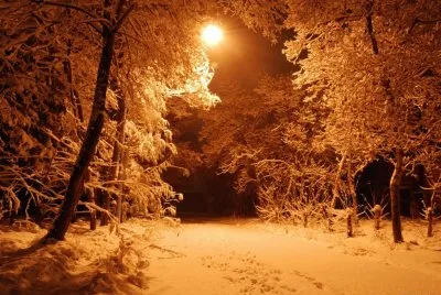Trees- .hqimage.com-9999464 jigsaw puzzle