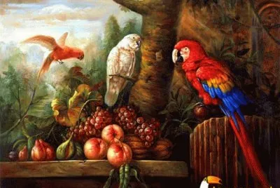imagenes