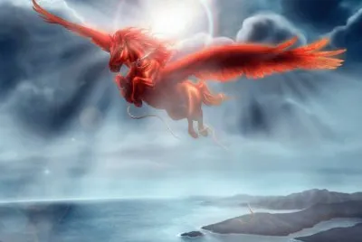 imagens
