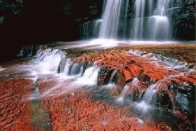 ANDES jigsaw puzzle