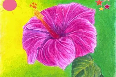 lily6