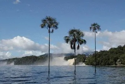 CANAIMA jigsaw puzzle