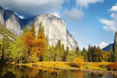 NATUREZA jigsaw puzzle