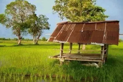 imagens jigsaw puzzle