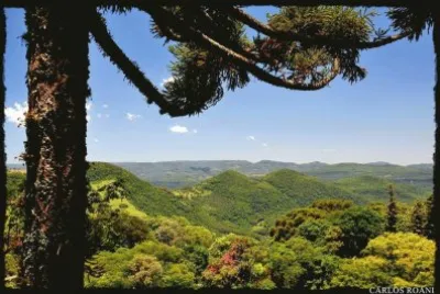 imagens jigsaw puzzle