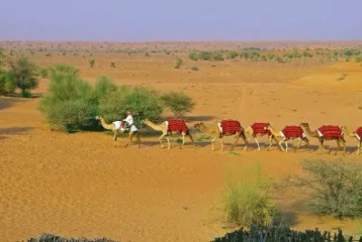 imagens jigsaw puzzle