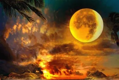 imagens
