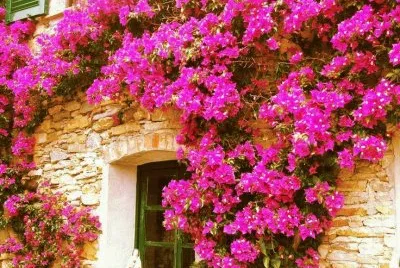 imagens jigsaw puzzle