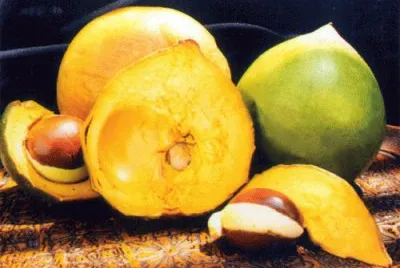 פאזל של Lucumas