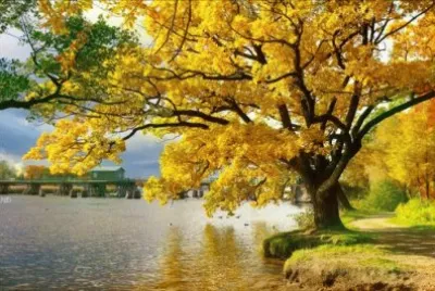 imagens jigsaw puzzle