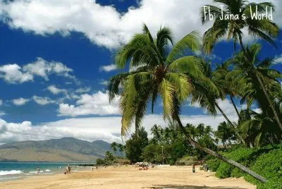 imagens jigsaw puzzle