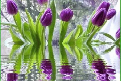 flowers jigsaw puzzle
