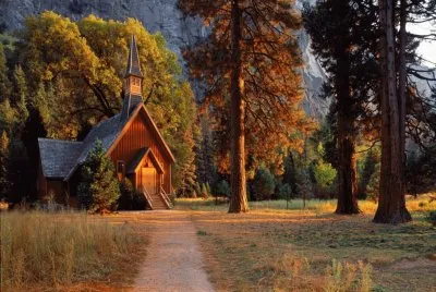Trees- .hqimage.com-9999439 jigsaw puzzle