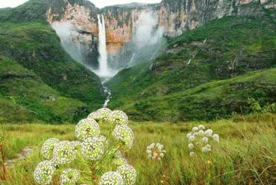 NATUREZA jigsaw puzzle