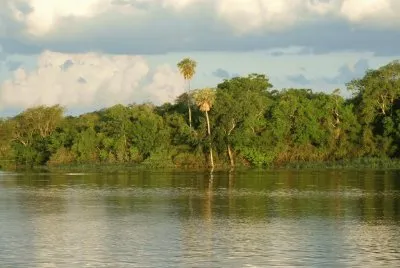 Humedal en Villa Paranacito. Chaco. Argentina jigsaw puzzle