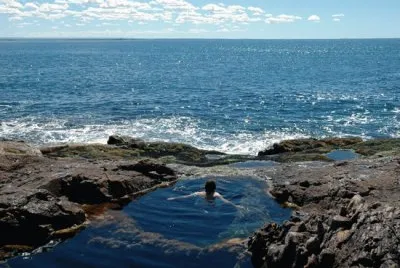 PenÃ­nsula Gravina. Chubut. Argentina jigsaw puzzle