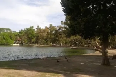 פאזל של Lago