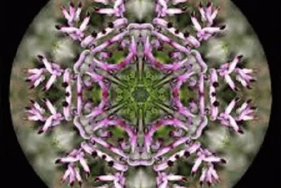 mandala jigsaw puzzle