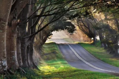 imagens jigsaw puzzle