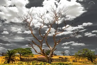 imagens jigsaw puzzle
