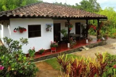 פאזל של simplicidade