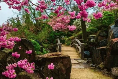 פאזל של aconchego