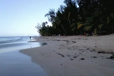 Playa de Las Terrenas jigsaw puzzle