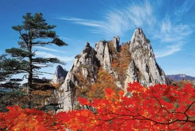 NATUREZA jigsaw puzzle