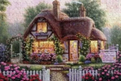 2 jigsaw puzzle