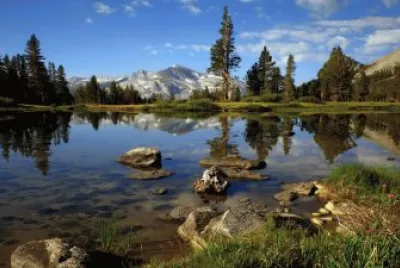 Country Water Scene jigsaw puzzle