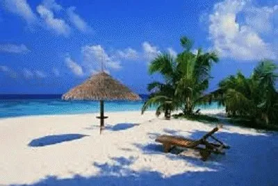 VENEZUELA BELLA