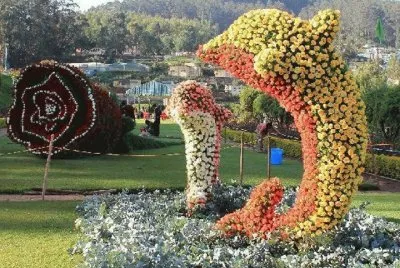 imagens jigsaw puzzle