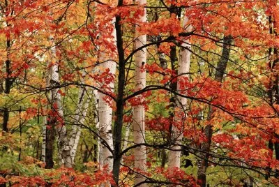 Travelling015tourism jigsaw puzzle