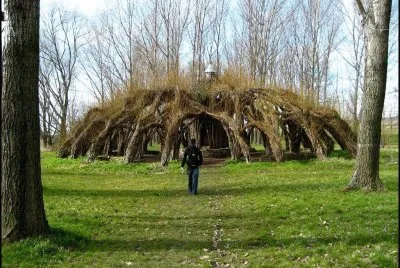 tree shelter jigsaw puzzle