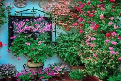 TÃ­pico patio andaluz