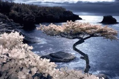 spring-128 jigsaw puzzle
