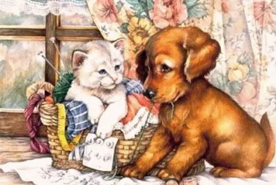 animais